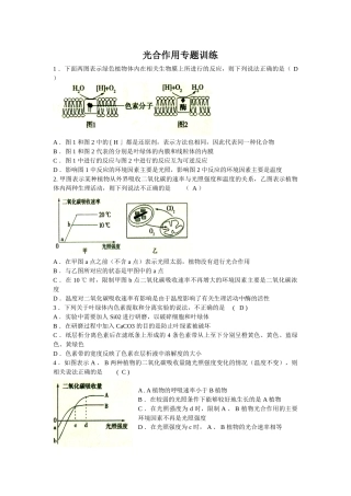 光合作用专题训练