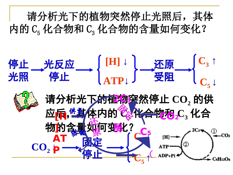 光合作用中的图形分析_第3页