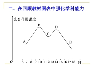 光合作用中的图形分析