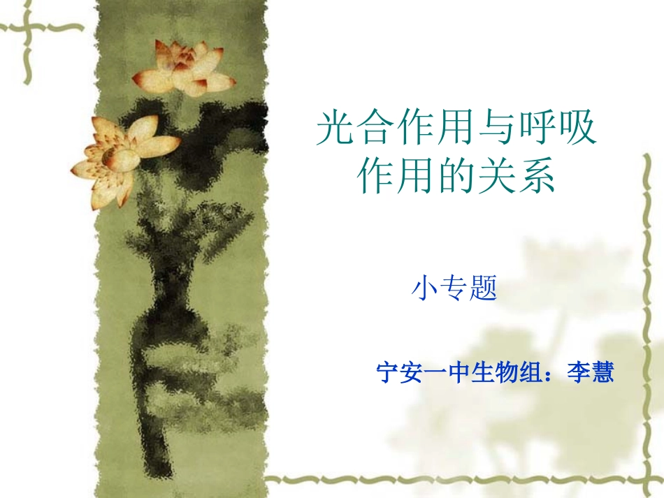 光合作用与呼吸作用的关系_第1页