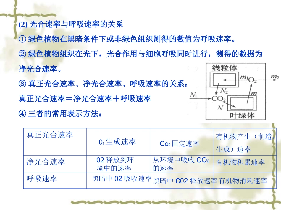 光合作用与呼吸作用的关系_第3页