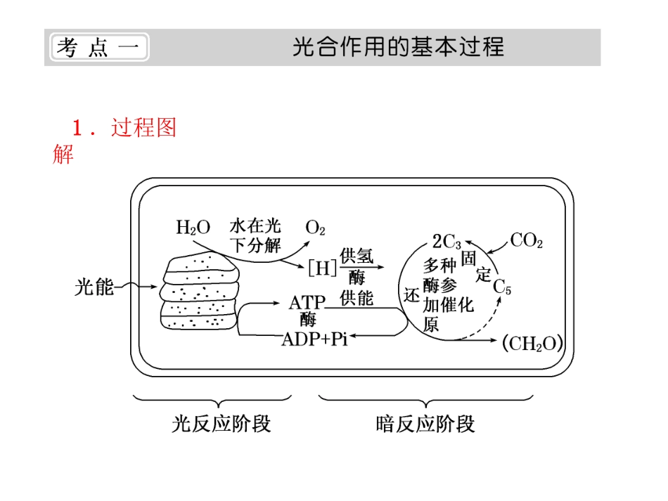 光合作用和呼吸作用ppt_第2页