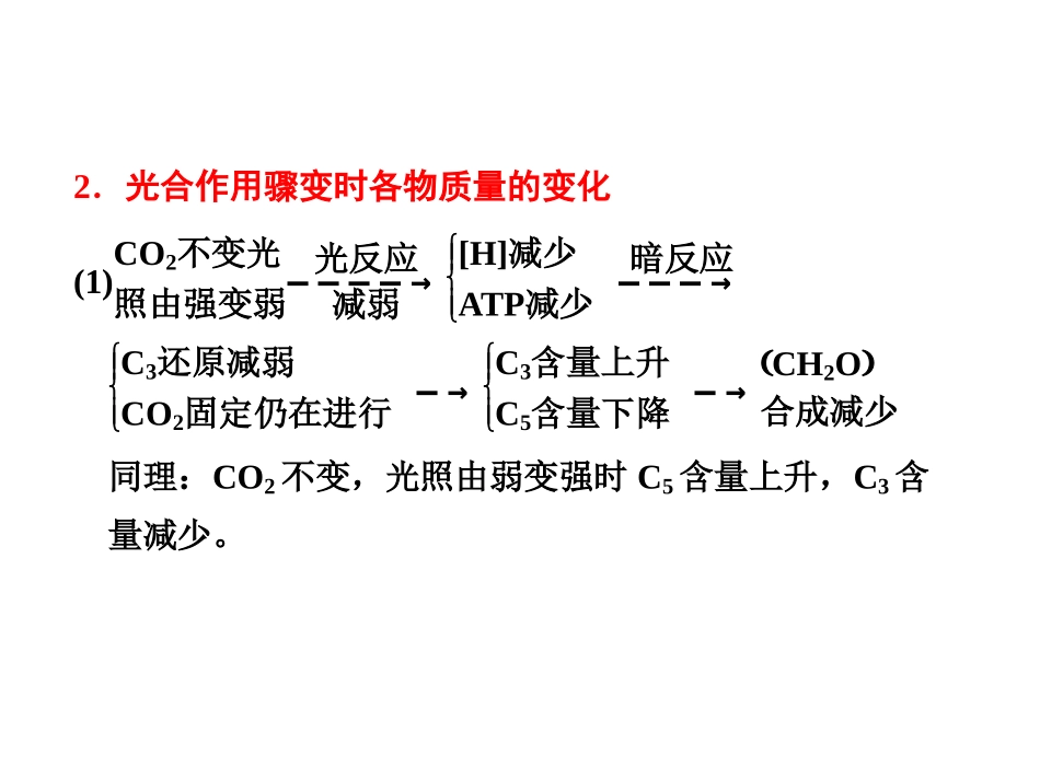 光合作用和呼吸作用ppt_第3页