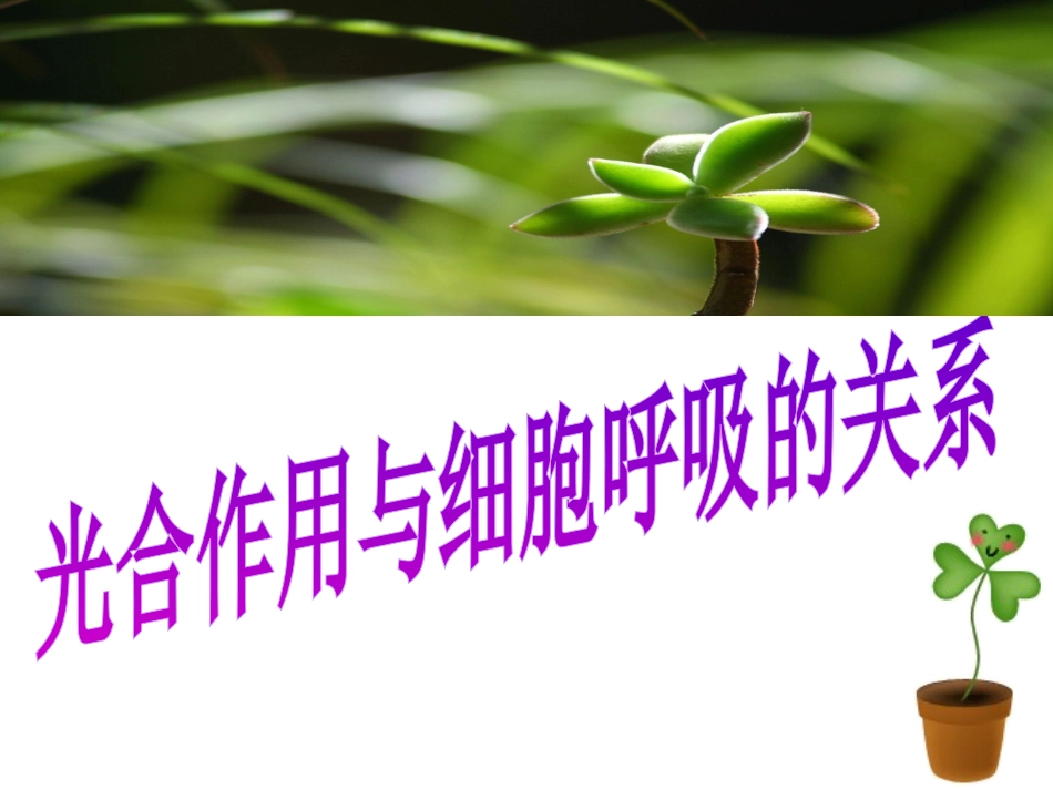 光合作用与呼吸作用比较_第1页