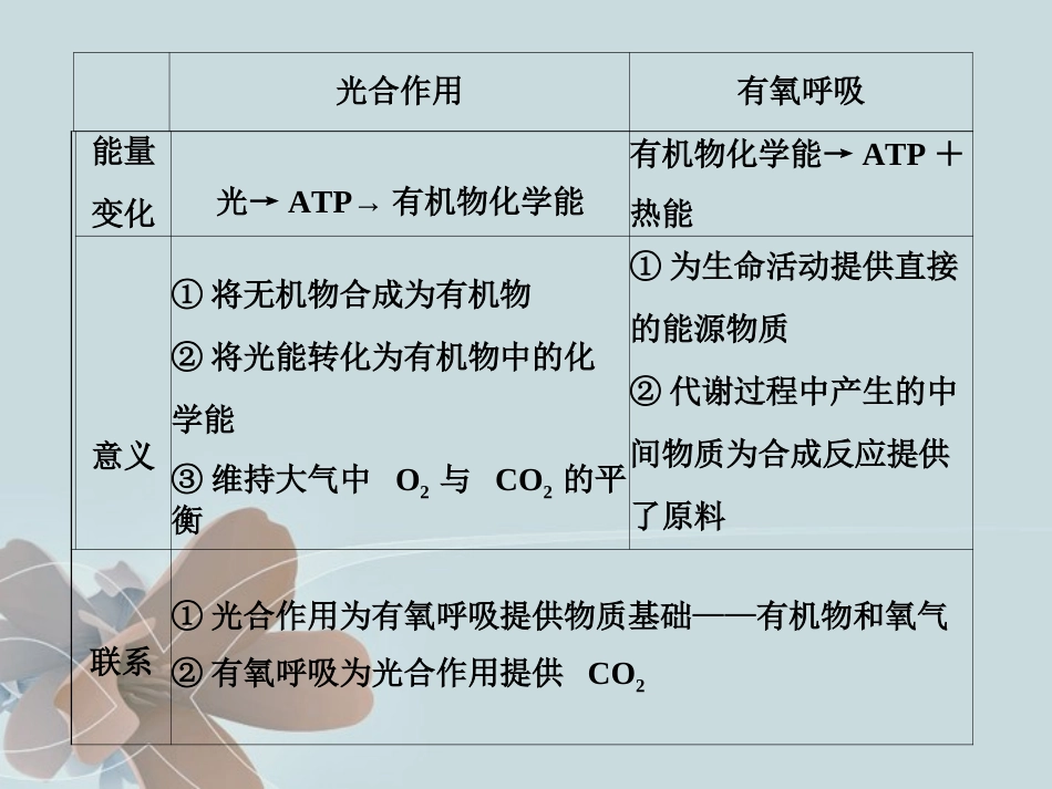 光合作用与呼吸作用比较_第3页