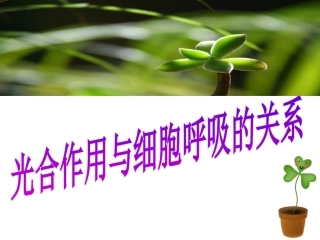 光合作用与呼吸作用比较