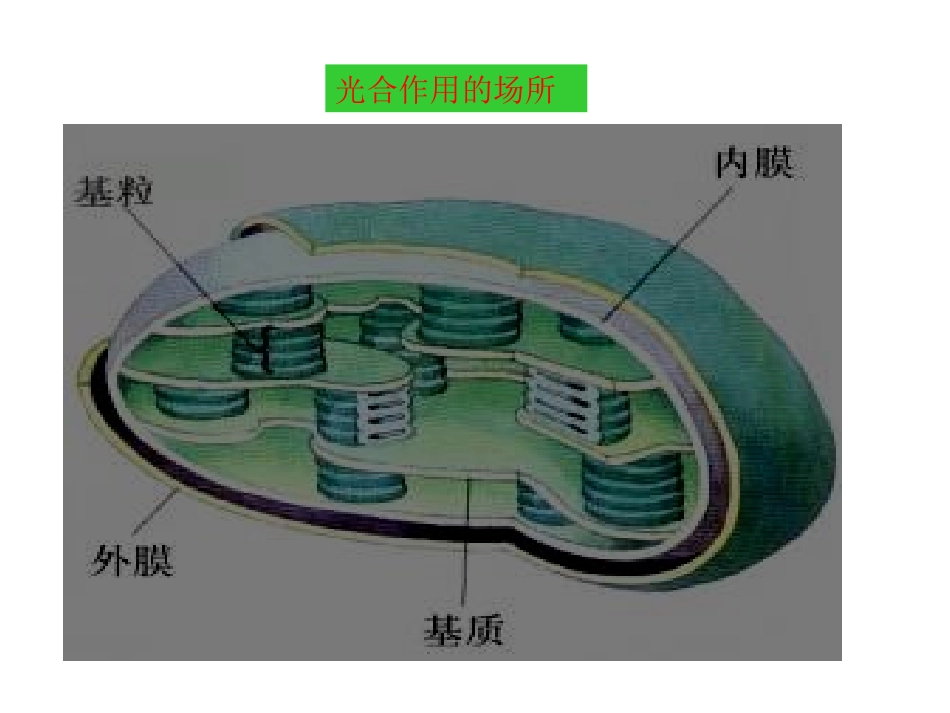 光合作用和呼吸作用二轮复习复习PPT_第3页