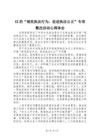 XX的“规范执法行为，促进执法公正”专项整改活动心得体会