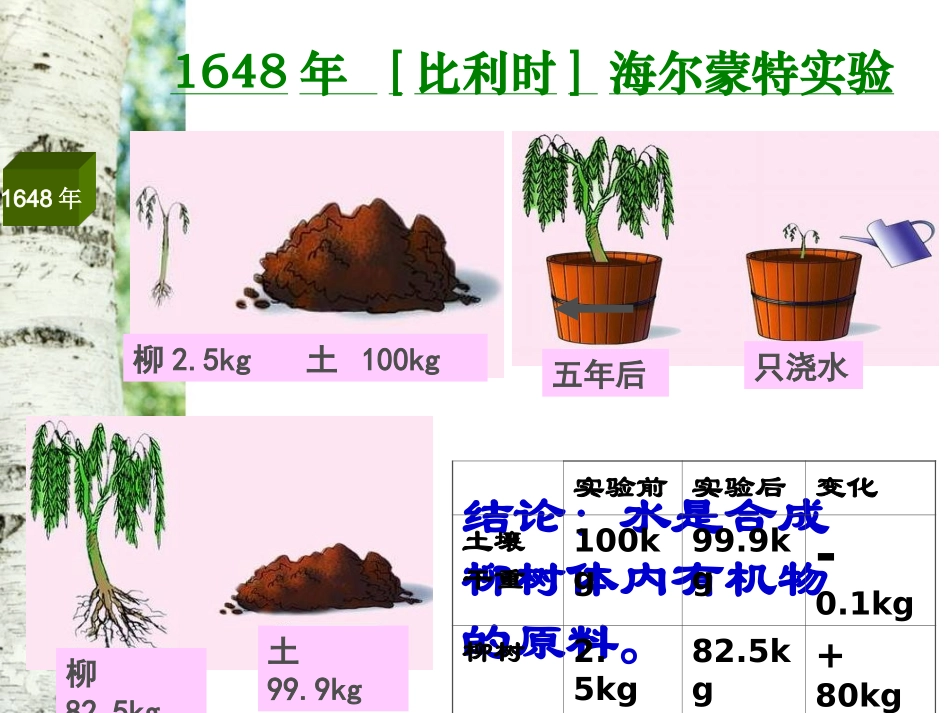 光合作用公开课_第3页