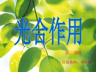 光合作用公开课