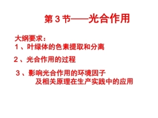 光合作用---理基