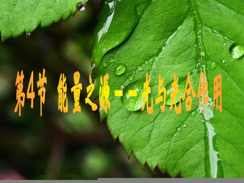 光合作用(二)_第1页