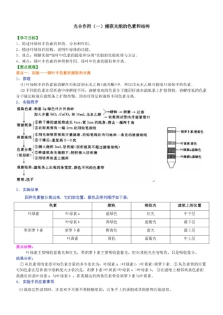 光合作用(一)捕获光能的色素知识讲解