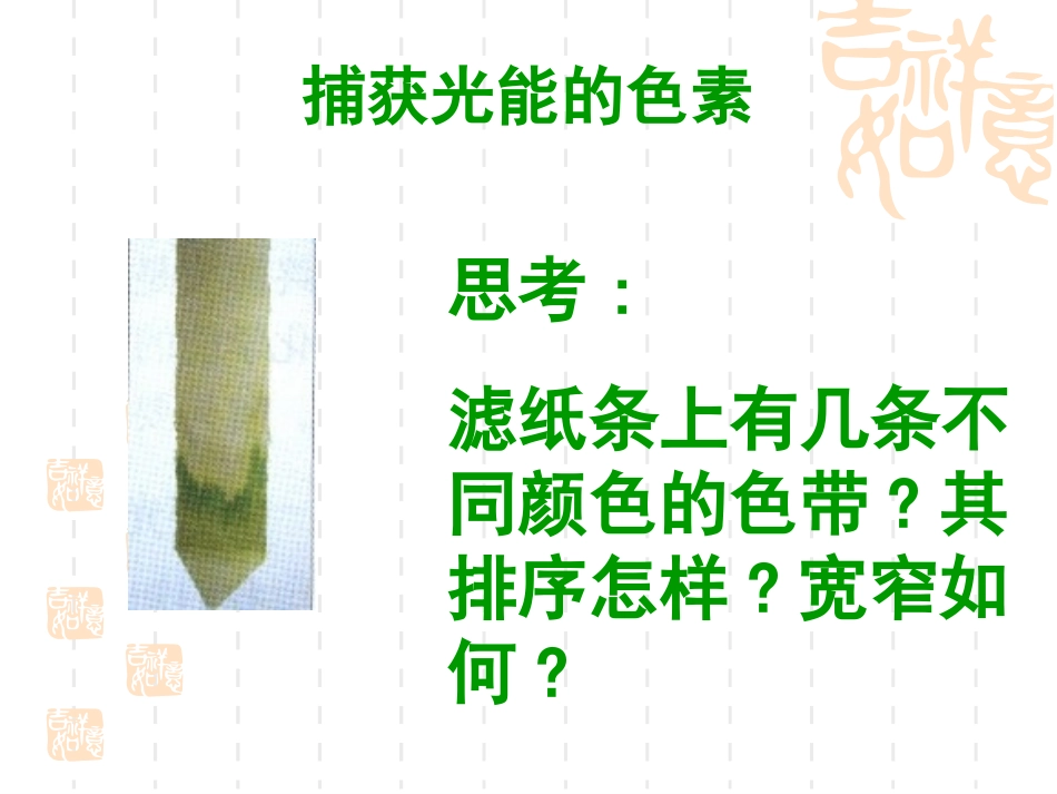 光合作用  文科_第1页