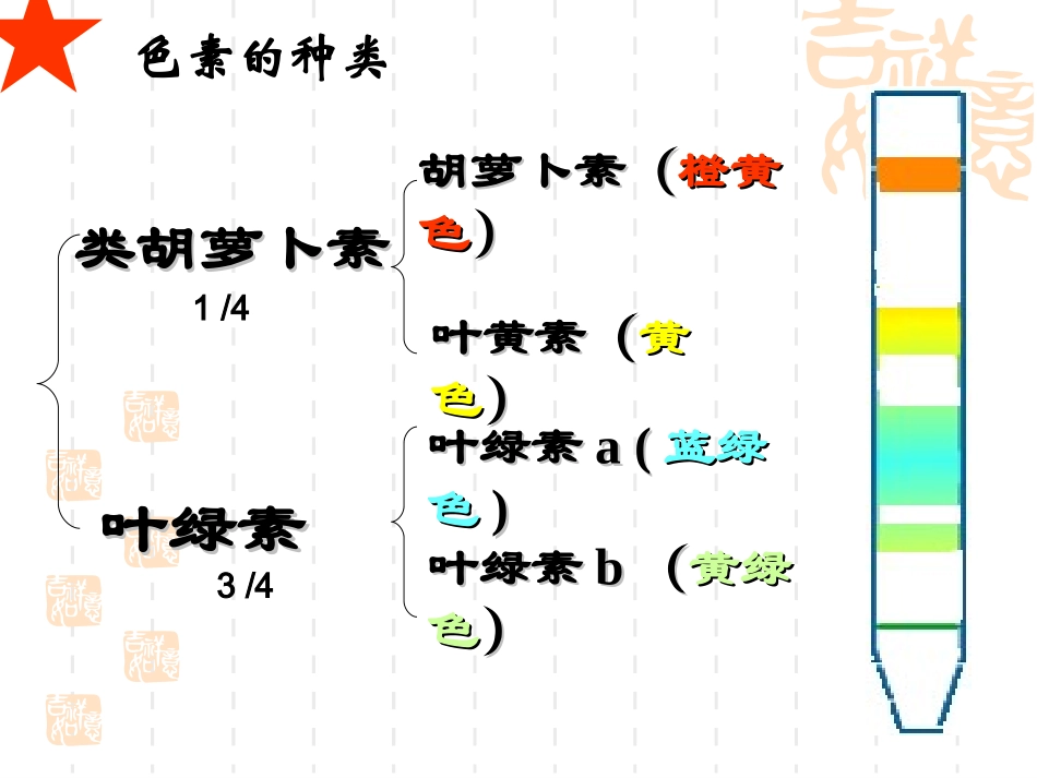 光合作用  文科_第2页