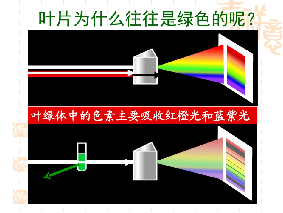 光合作用  文科_第3页