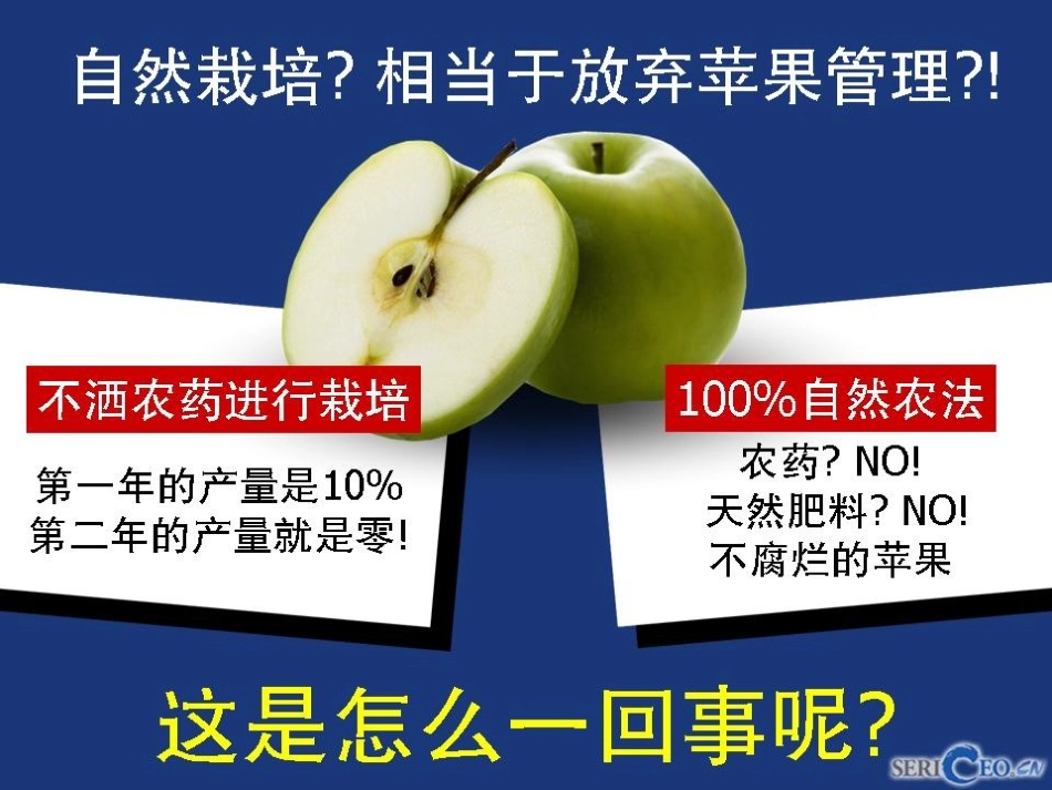 傻瓜果农收获奇迹人生_第3页