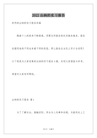2024出纳的实习报告_10