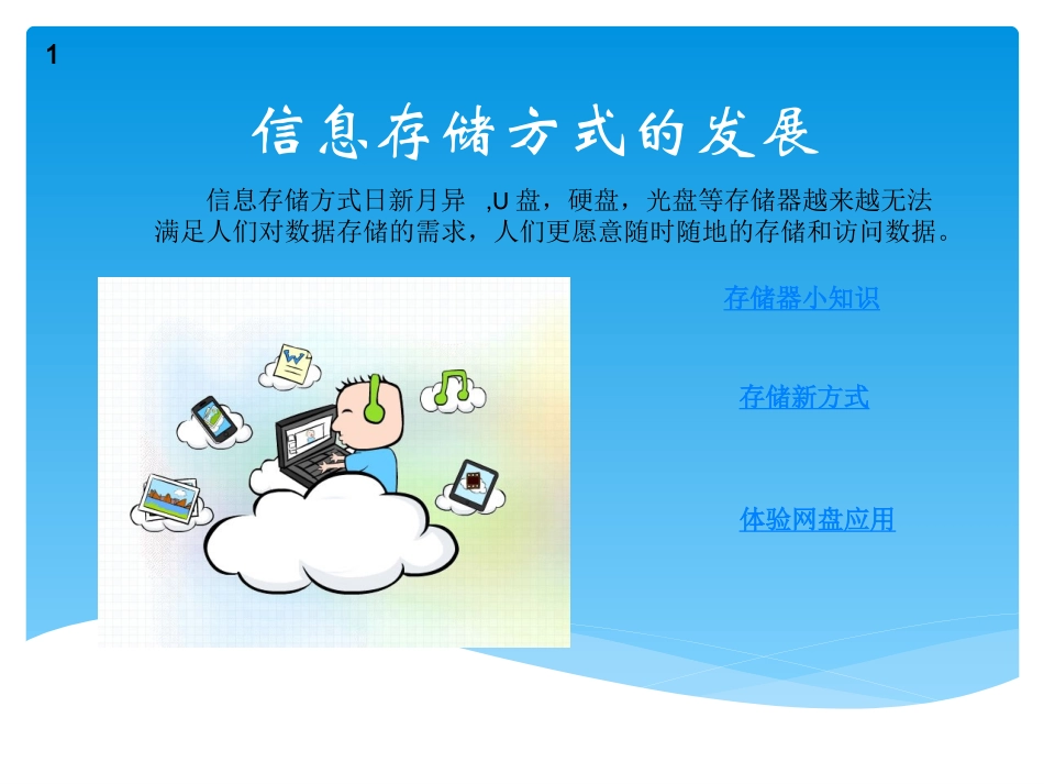 信息存储方式_第1页