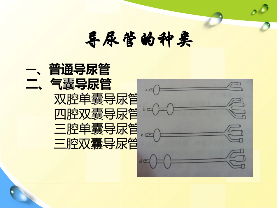 保留导尿讲课(李华)_第2页