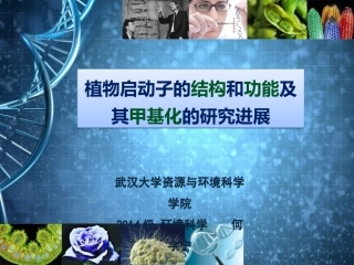 例会-植物启动子及其甲基化