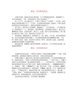 作文：那是一次失败的尝试
