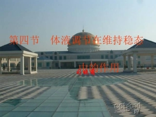 体液调节在维持稳态中的作用课件