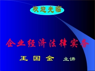 企业经济法律实务