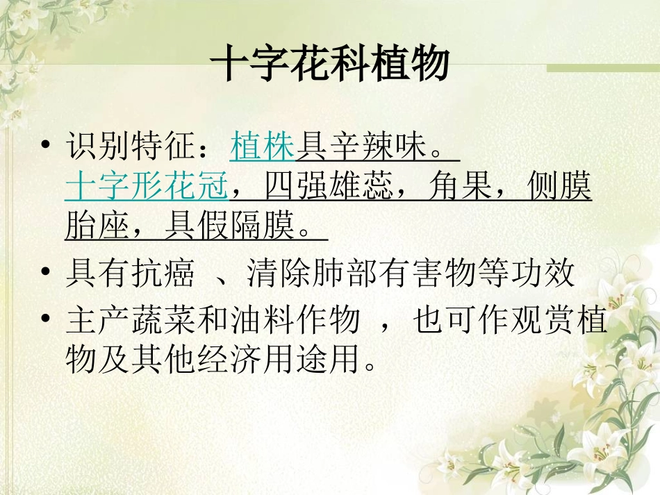 什么是十字花科(图片)_第3页