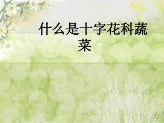 什么是十字花科(图片)