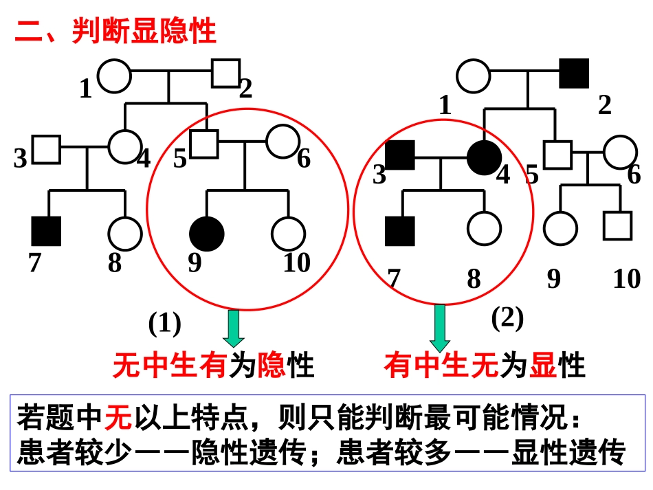 人类系谱图的识别_第2页