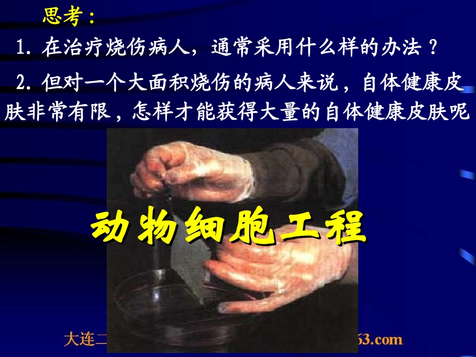 人教版生物选修3现代生物科技专题专题2细胞工程2.2.1动物细胞培养和核移植技术_第1页