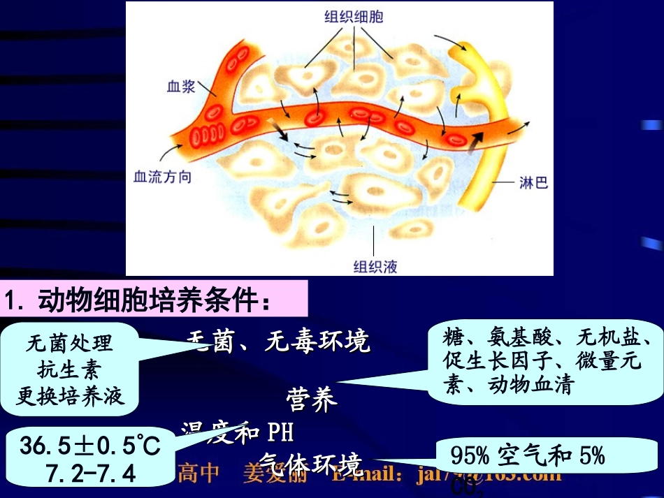 人教版生物选修3现代生物科技专题专题2细胞工程2.2.1动物细胞培养和核移植技术_第3页
