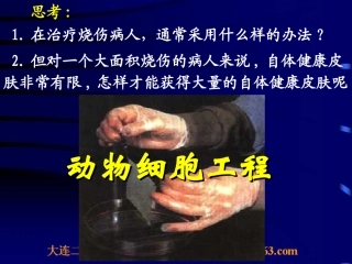 人教版生物选修3现代生物科技专题专题2细胞工程2.2.1动物细胞培养和核移植技术