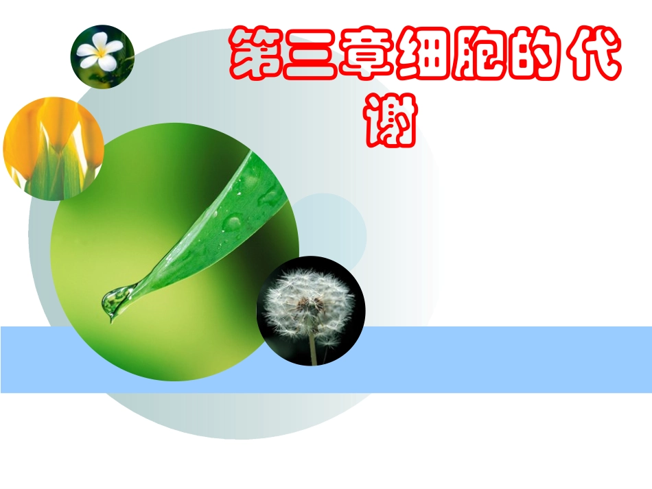人教版教学课件降低化学反应活化能的酶_第1页