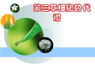 人教版教学课件降低化学反应活化能的酶