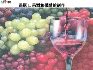 人教版教学课件果酒和果醋的制作 课件 2
