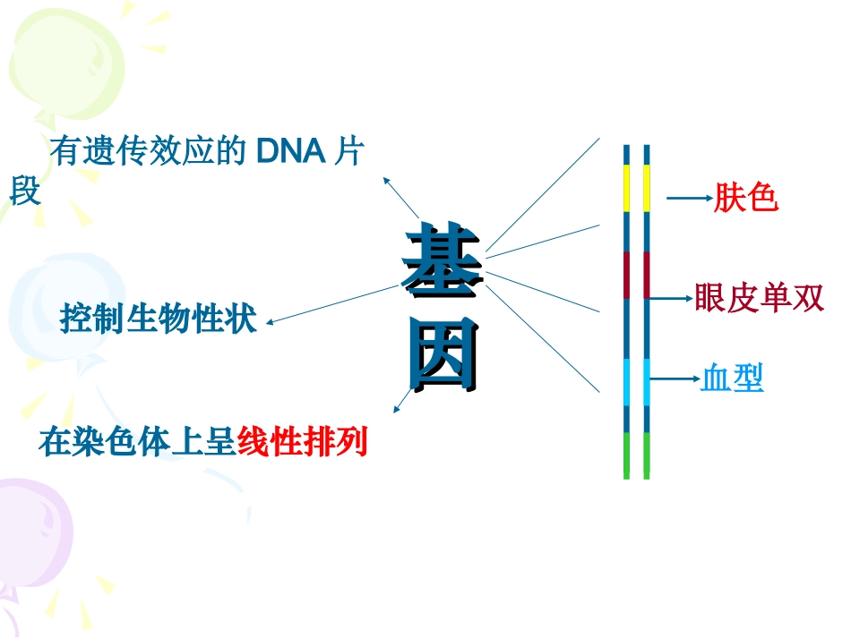 人教版教学课件山东省新泰市第二中学2011-2012学年生物 生物呈现多样性(课件)_第2页