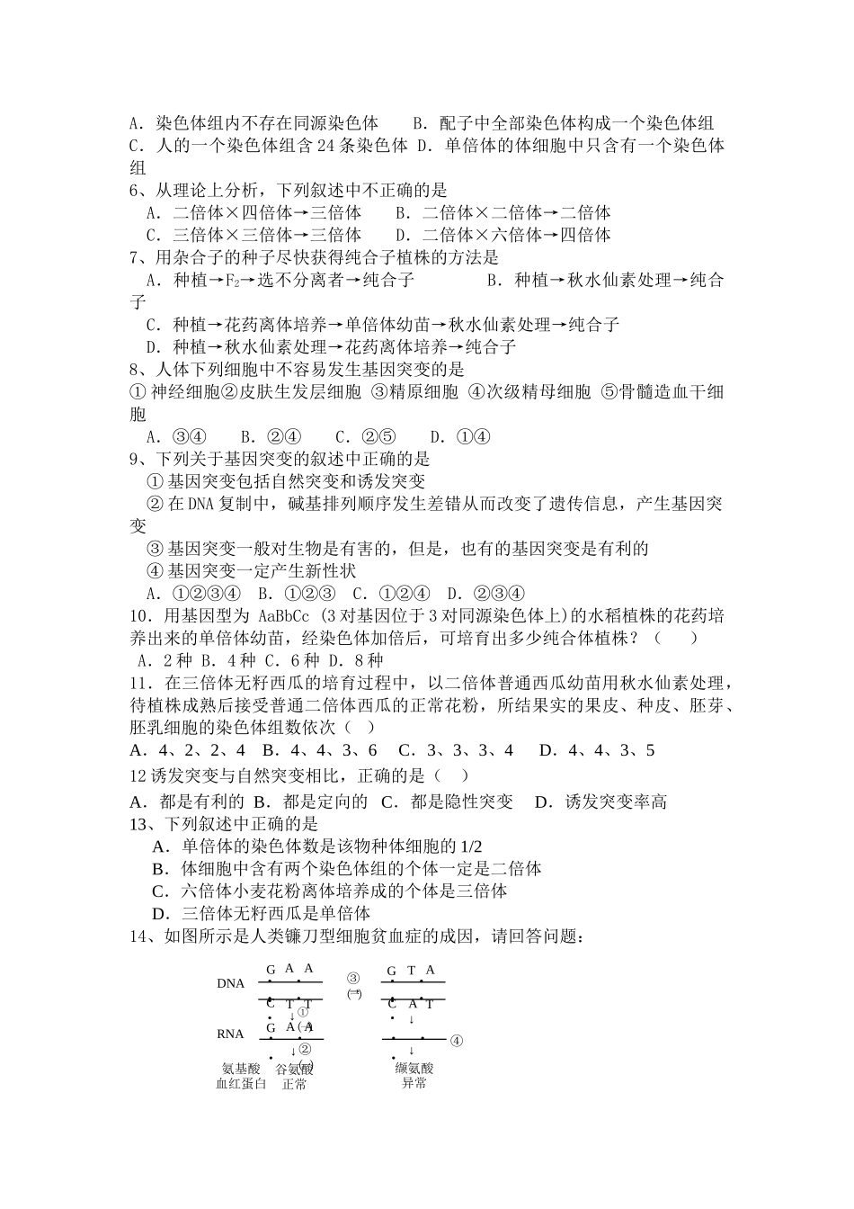 人教版教学教案变异(基因突变、基因重组、染色体变异)和育种复习_第3页