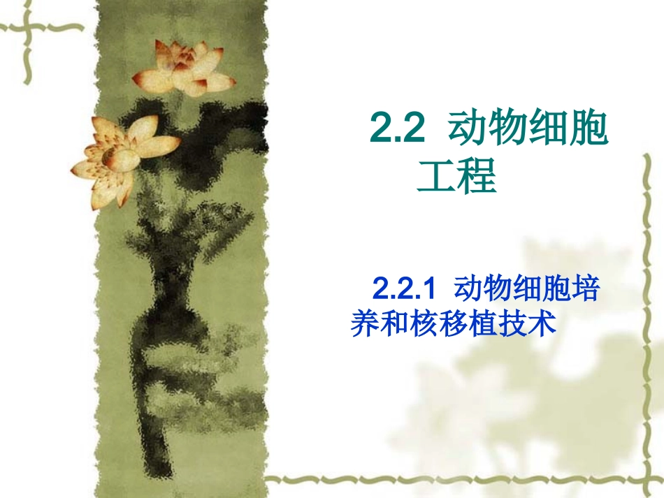 人教版教学课件动物细胞培养和核移植技术ppt_第1页