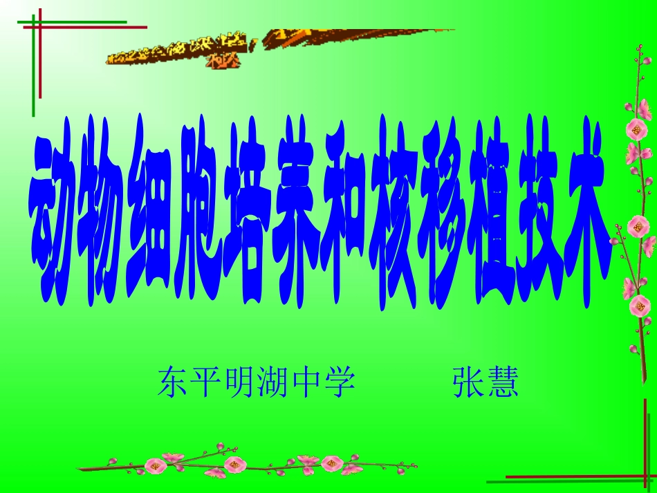 人教版教学课件动物细胞培养与核移植技术_第1页