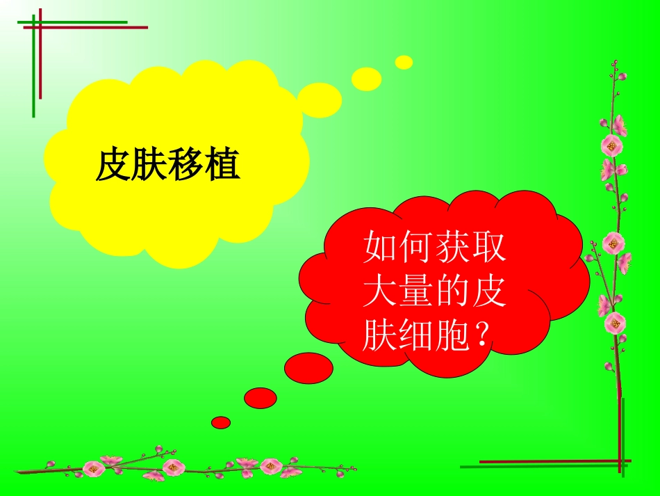 人教版教学课件动物细胞培养与核移植技术_第3页