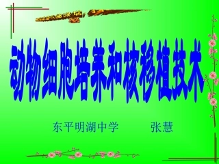 人教版教学课件动物细胞培养与核移植技术
