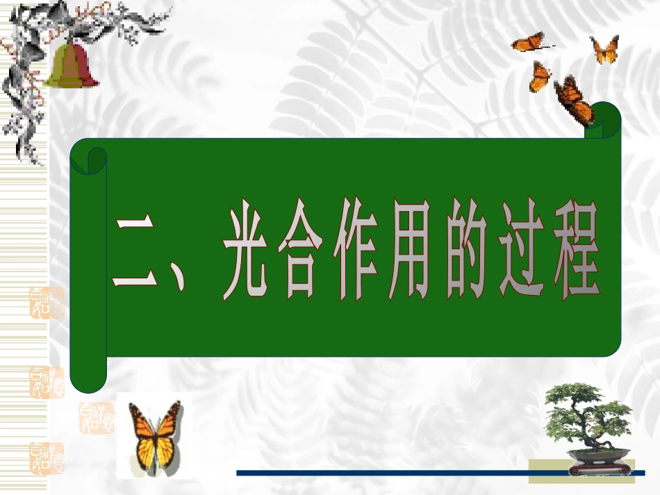 人教版教学课件光合作用课件(人教版)_第1页