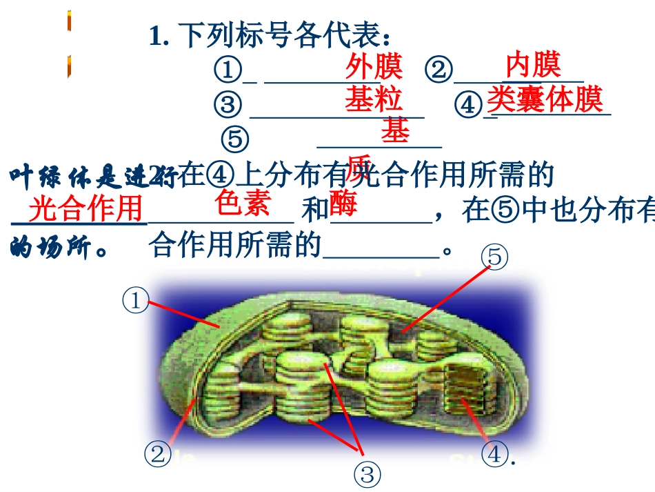 人教版教学课件光合作用课件(人教版)_第3页
