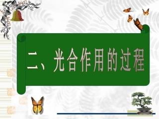 人教版教学课件光合作用课件(人教版)