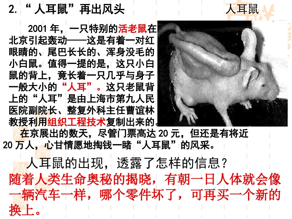 人教版教学课件动物细胞培养和核移植技术2_第2页