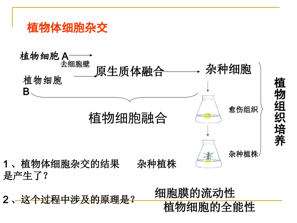 人教版教学课件[名校联盟]福建省三明市泰宁一中生物选修三22《动物细胞工程》课件1_第2页