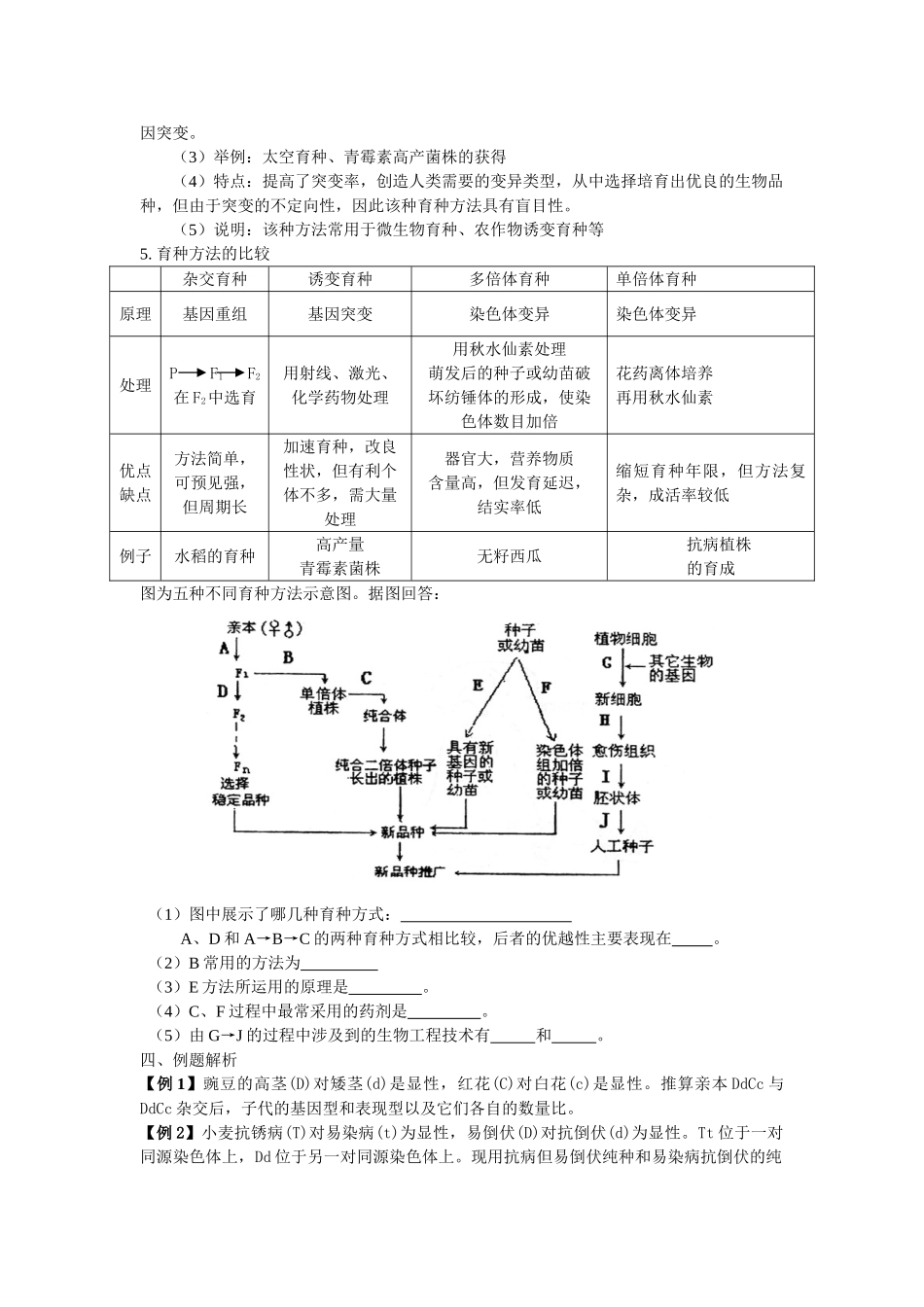 人教版教学教案第19课 从杂交育种到基因工程_第2页