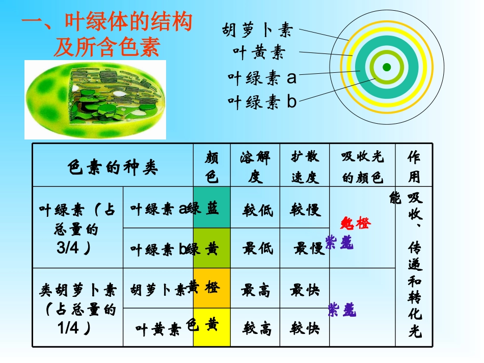 人教版教学课件光合作用第一轮复习课件_第2页